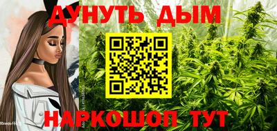 jwh Краснодар