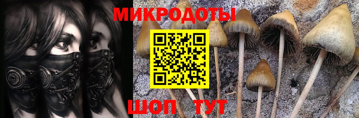 Псилоцибиновые грибы Magic Shrooms  Вход с VPN  Ялуторовск 